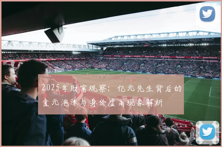 2025年财富观察：亿元先生背后的金元泡沫与身价虚高现象解析