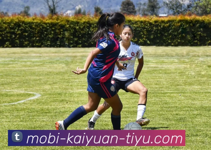 开元体育服务体系